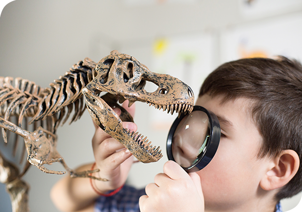STEM Experiments Summer Camp Milton