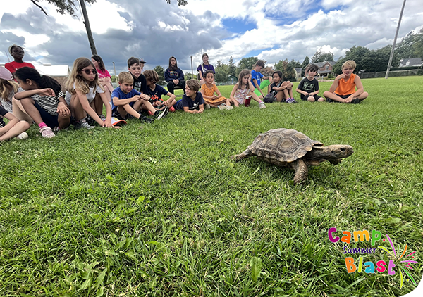 Learning through interaction with animals